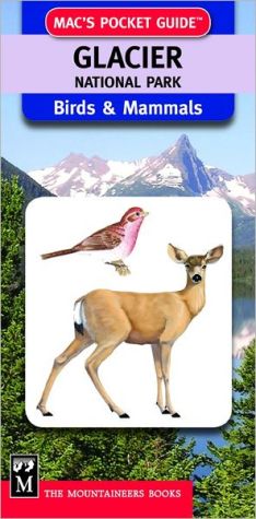 Glacier National Park Birds and Mammals