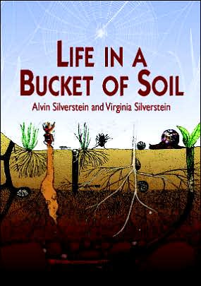 Life in a Bucket of Soil