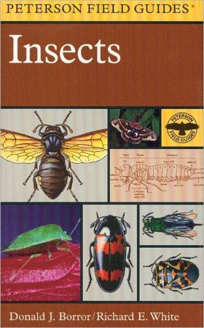 A Field Guide to Insects: America North of Mexico