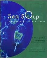 Sea Soup: Phytoplankton
