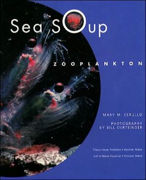 Sea Soup: Zooplankton