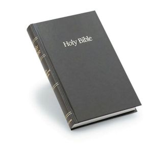 NIV Worship Bible: New International Version, brown hardcover