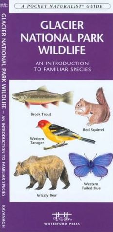 Glacier National Park Wildlife: An Introduction to Familiar Species (Pocket Naturalist Series)