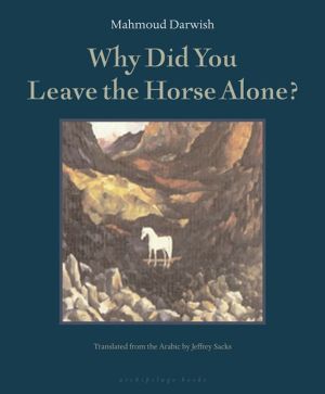 Why Did You Leave the Horse Alone?