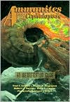 Ammonites and the Other Cephalopods of the Pierre Seaway: An Identification Guide