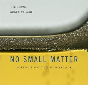 No Small Matter: Science on the Nanoscale