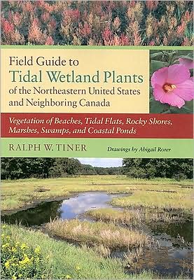 Field Gde Tidal Wetland Plants Ne/Canada