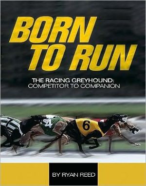 Born to Run: The Racing Greyhound, from Competitor to Companion