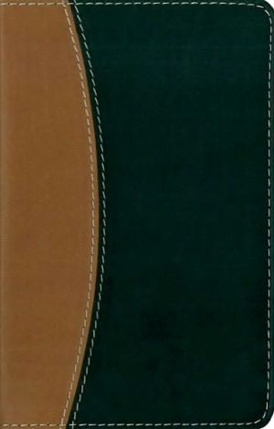 NIV Compact Thinline Reference Bible