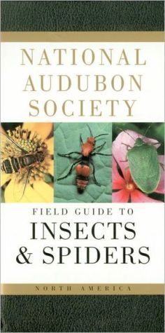 National Audubon Society Field Guide to North American Insects and Spiders (National Audubon Society Feild Guide Series)