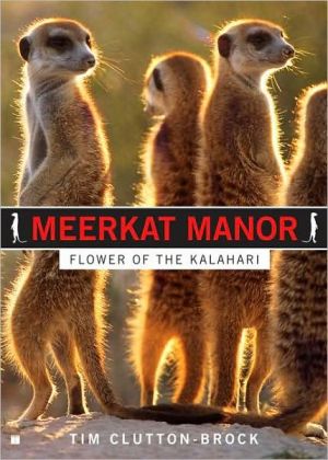 Meerkat Manor: Flower of the Kalahari