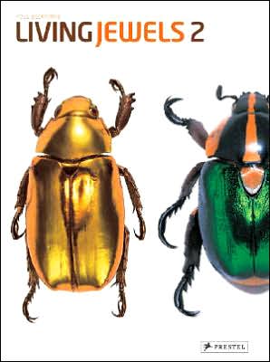 Living Jewels 2: The Magical Design of Beetles