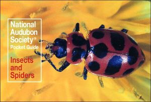 National Audubon Society Pocket Guide to Familiar Insects and Spiders