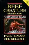 Reef Creature Identification: Florida, Carribean, Bahamas