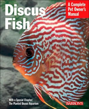 Discus Fish