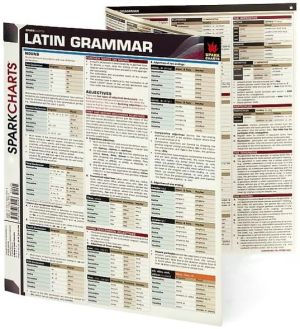 Latin Grammar (SparkCharts)