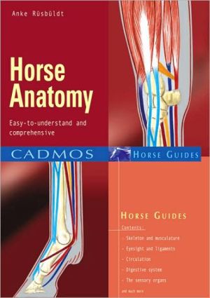 Horse Anatomy: Easy to Understand & Comprehensive